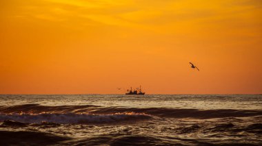 Seiner üzerinde bir Karadeniz, Poti, Gürcistan
