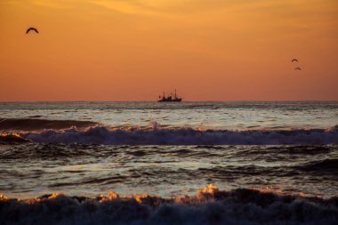 Seiner üzerinde bir Karadeniz, Poti, Gürcistan