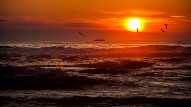 Seiner üzerinde bir Karadeniz, Poti, Gürcistan