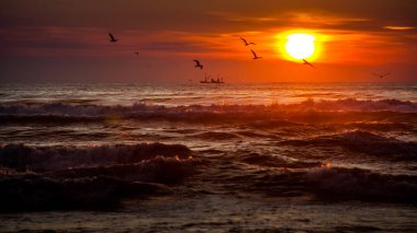 Seiner üzerinde bir Karadeniz, Poti, Gürcistan