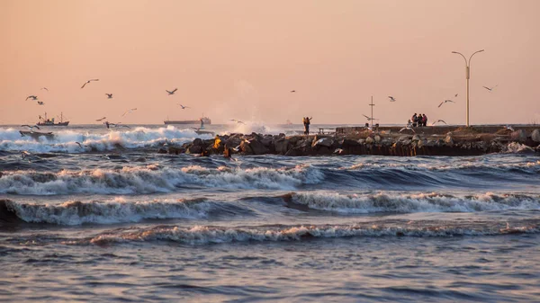 fırtına, martılar nehir Rioni, Pot Karadeniz kıyısında