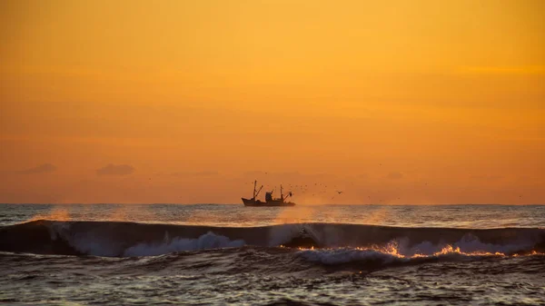 Sein auf einem schwarzen Meer, poti, georgien — Stockfoto