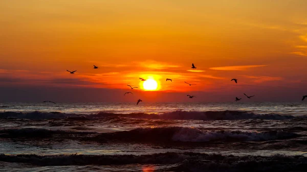 Sonnenuntergang. schöner Sonnenuntergang schwarzes Meer. Sonnenuntergang im Goldmeer — Stockfoto