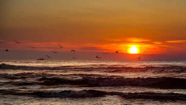 Sonnenuntergang. schöner Sonnenuntergang schwarzes Meer. Sonnenuntergang im Goldmeer — Stockfoto