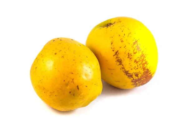 익은 quinces 흰색 절연 — 스톡 사진