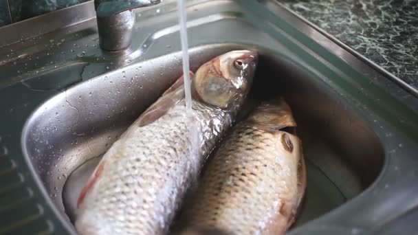 Agua que vierte más de dos peces dorados en el fregadero de la cocina: lavar los alimentos del mercado antes de cocinar — Vídeos de Stock
