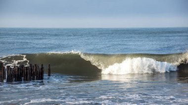 Dalga deniz, Karadeniz, Poti, Gürcistan sahil