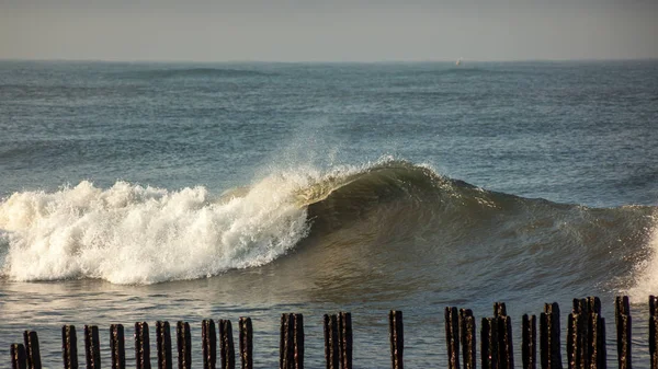 Dalga deniz, Karadeniz, Poti, Gürcistan sahil