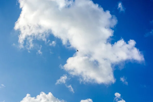 Wolken mit blauem Himmel, fliegende Möwen — Stockfoto