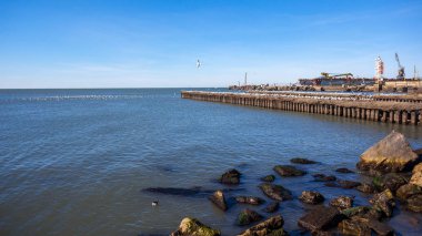 uçan ve su ve kayalar o oturan birçok martılar