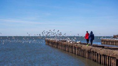Martılar Poti Karadeniz kıyısında uçan ile insanlar,