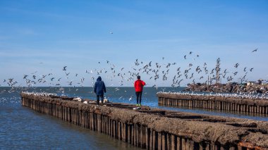 Martılar Poti Karadeniz kıyısında uçan ile insanlar,