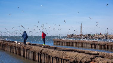 Martılar Poti Karadeniz kıyısında uçan ile insanlar,