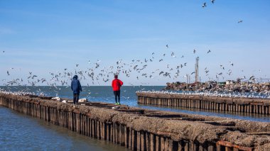 Martılar Poti Karadeniz kıyısında uçan ile insanlar,