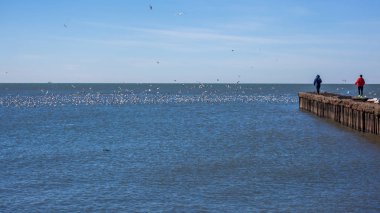 Martılar Poti Karadeniz kıyısında uçan ile insanlar,