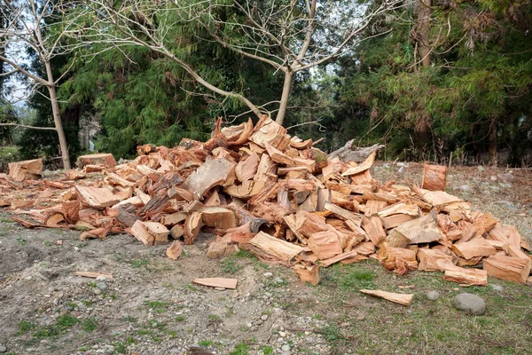 屋外のトウヒの木薪がたくさん — ストック写真