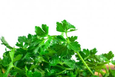 Beyaz arka plan üzerinde gıda ingredien izole taze yeşil maydanoz
