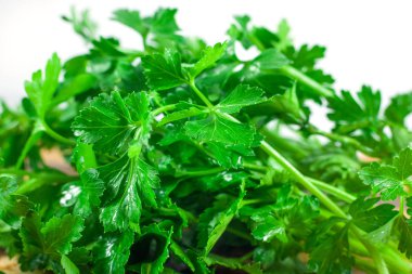 Beyaz arka plan üzerinde gıda ingredien izole taze yeşil maydanoz