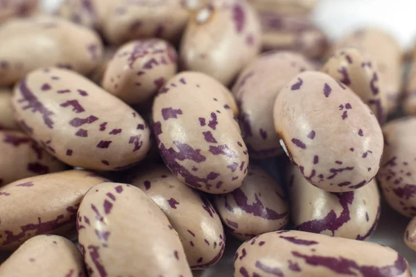 Haricots colorés isolés sur fond blanc — Photo