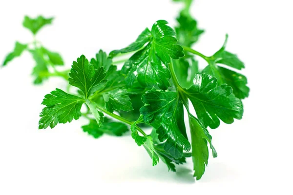 Fresh green parsley isolated on white background, food ingredien — Stock Photo, Image