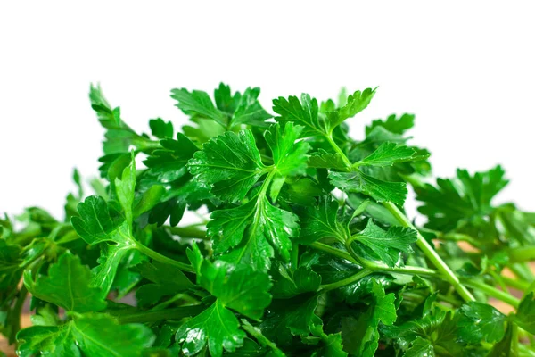 Beyaz arka plan üzerinde gıda ingredien izole taze yeşil maydanoz