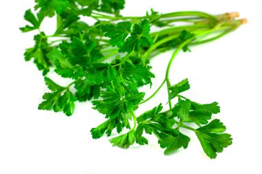 Beyaz arka plan üzerinde gıda ingredien izole taze yeşil maydanoz