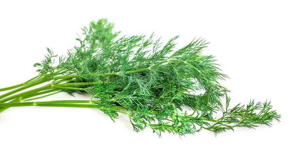 Bunch fresh, green dill on a white background — Stock Photo, Image