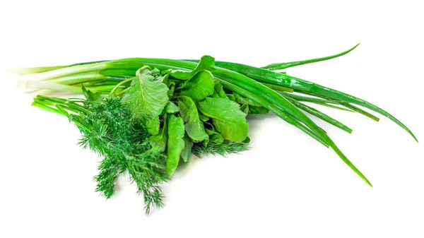 Cebolla verde, eneldo y espinacas sobre un fondo blanco —  Fotos de Stock