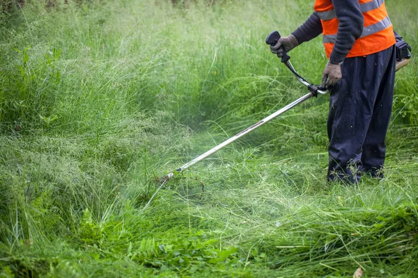 O jardineiro cortando grama por cortador de grama — Fotografia de Stock