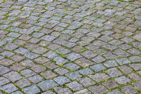 Stone blok naadloze textuur, de weg naar voetgangers — Stockfoto