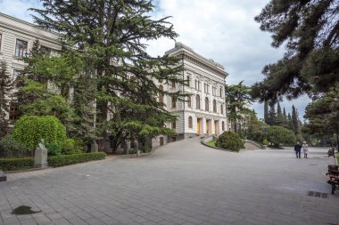 Tiflis Devlet Üniversitesi, görünümünü kurulan 1918 