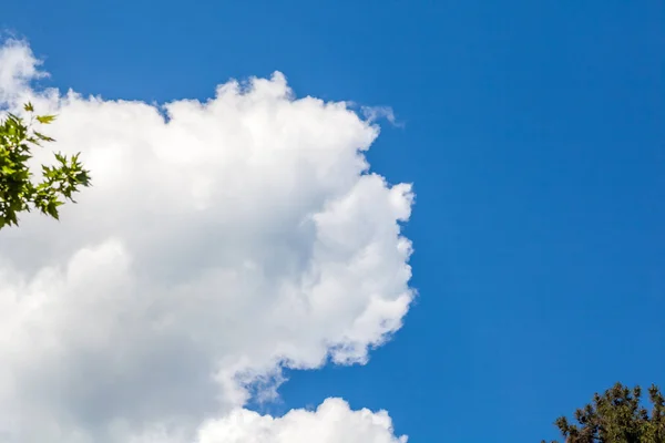 Awan dengan langit biru, tekstur alami — Stok Foto