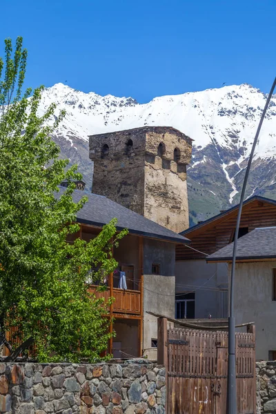 Вежами села Mestia в районі Сванеті кавказьких гір в Г — стокове фото