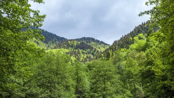 Belles montagnes de svaneti, région montagneuse de la Géorgie — Photo