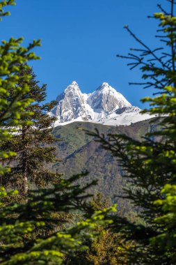 Peak of mount Ushba in Caucasus Mountains, Svanetia region in Ge clipart