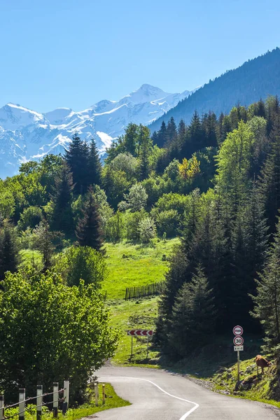 Mt. Tetnuldi, üst Svaneti, Georgia, Europe