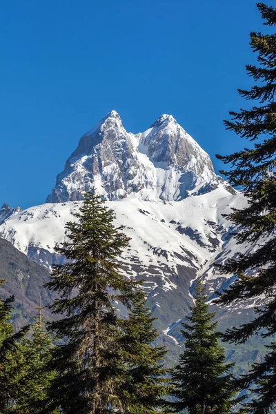 Pico del monte Ushba en las montañas del Cáucaso, región de Svanetia en Ge — Foto de Stock