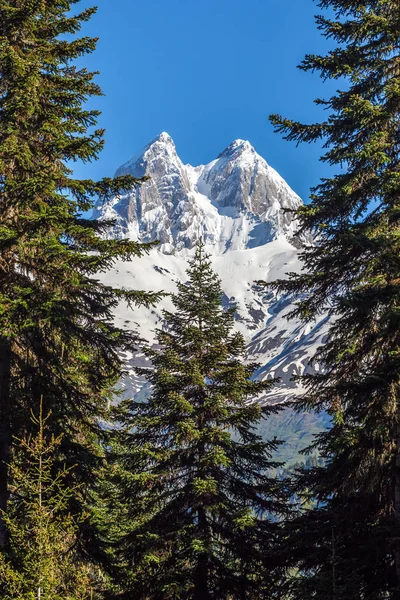 Вершина гори Ushba у Кавказ, Svanetia області в Ge — стокове фото