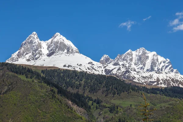 Vrchol mount Ushba v horách Kavkazu, Svanetii regionu v Ge — Stock fotografie
