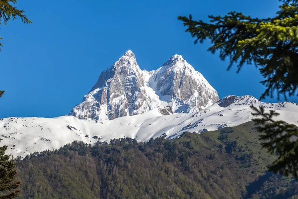 Pico del monte Ushba en las montañas del Cáucaso, región de Svanetia en Ge — Foto de Stock