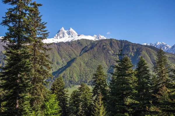 Peak of mount Ushba in Caucasus Mountains, Svanetia region in Ge — Stock Photo, Image