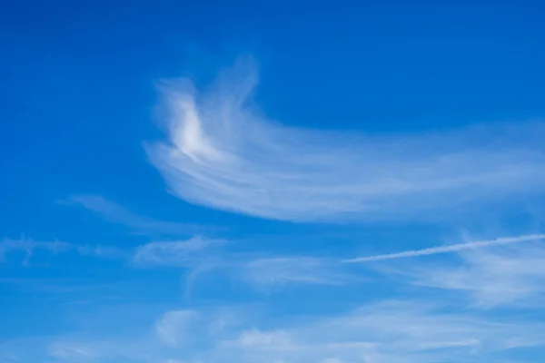 Awan cerah putih di latar belakang langit biru — Stok Foto
