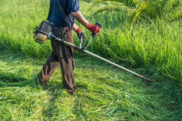 Der Gärtner mäht Gras mit dem Rasenmäher — Stockfoto