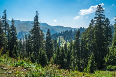 Ladin Bakhmaro içinde en güzel dağ biri o tatil