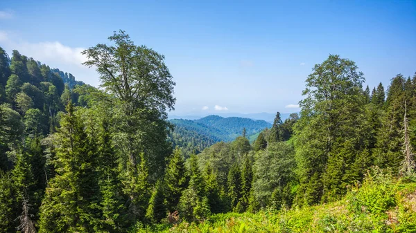 Bakhmaro village, l'une des plus belles stations de montagne de — Photo