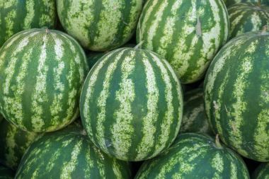 Karpuz yüksek bir Pazar satışa kazıklı.