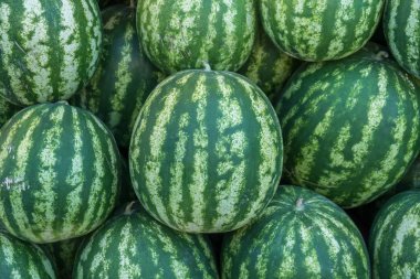 Karpuz yüksek bir Pazar satışa kazıklı.