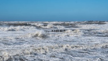 Fırtınalı denizde büyük dalgalar sahile kırma