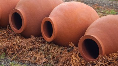 Gürcü geleneksel testi kvevri şarap açık