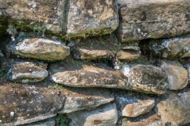 Yosun ve yosunlu eski taş duvar